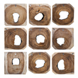 flower frame for wall Uttermost Wooden Wall Art This Set Of 9 Wood Wall Art Features Cross Sections Of Solid Natural Suar Wood Finished In A Smooth Ebony Stain. Because Each Is Individually Handcrafted, Natural Variation Will Occur From Piece To Piece.