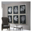 modern wall art decor Uttermost Leaf Prints Champagne Silver Frame.  Prints Under Glass.