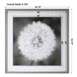 full wall art prints Uttermost Floral Prints Driftwood Look To Frame And Fillet, Large White Matte, Black And White Print Of Dandelion