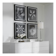 mural wall decor Uttermost Floral Prints Black And White Floral Prints, Black And White Frames, Prints Under Glass