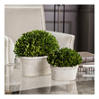 boxwood ball planter Uttermost Trees-Greenery Preserved While Freshly Picked, Natural Evergreen Foliage Looks And Feels Like Living Boxwood, Potted In Mossy Stone Finished, Terra Cotta Planters. Indoor Use Only. Constance Lael-Linyard