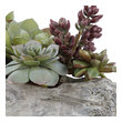 little artificial flowers Uttermost Artificial Flowers / Centerpiece A Lush Mix Of Succulents In Varying Tones Of Greens And Burgundy Over A Faux Soil Mixture, Filling A Solid Concrete Container Resembling A Life-like Driftwood Log.