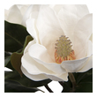 topiary tree centerpieces Uttermost Artificial Flowers / Centerpiece A Trio Of White Magnolia Blooms Are Placed In A Clear Glass Vase With Faux Water And Natural River Stones.