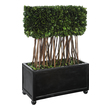 fake plants flowers Uttermost Trees-Greenery Natural Evergreen Foliage Preserved While Freshly Picked, Looks And Feels Like Living Boxwood. Supported By Natural Willow Branches, The Rectangular Topiary Is Potted In A Contemporary Ball Footed Planter Finished In Satin Black. For Indoor Use Only.