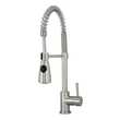 bathroom faucet one piece Virtu Kitchen Faucet Brushed Nickel Spring Sprout