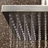 Rohl Shower Head